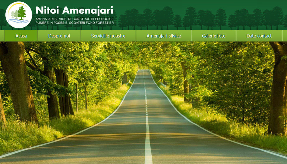 Website Preview
