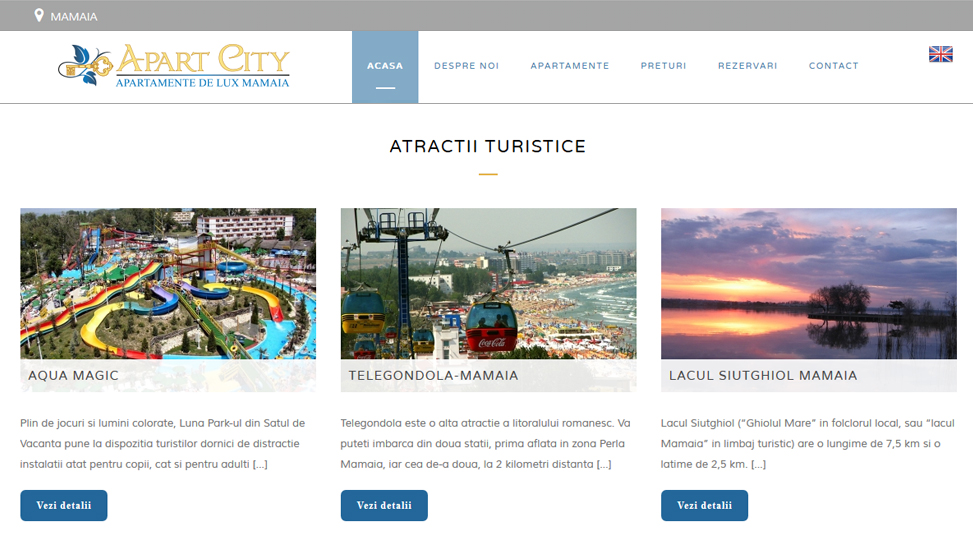Website Preview