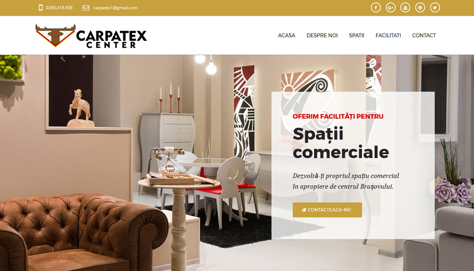 Website Preview