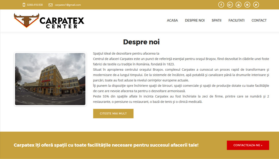 Website Preview