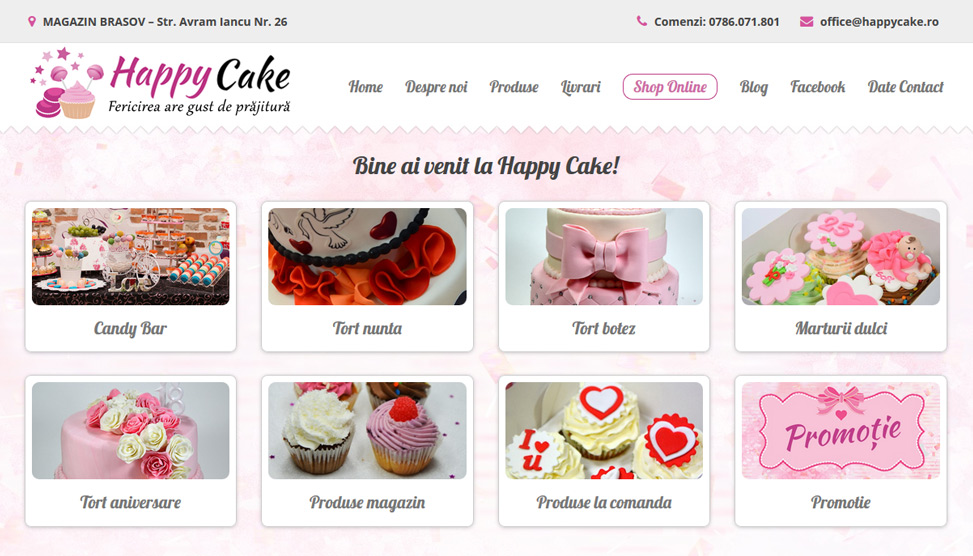 Website Preview