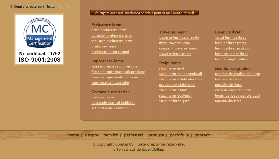 Website Preview