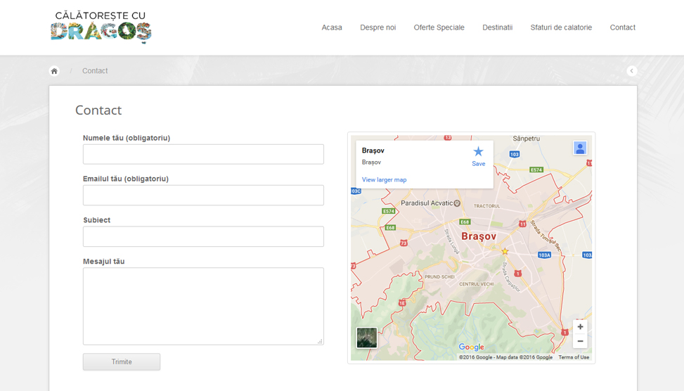 Website Preview