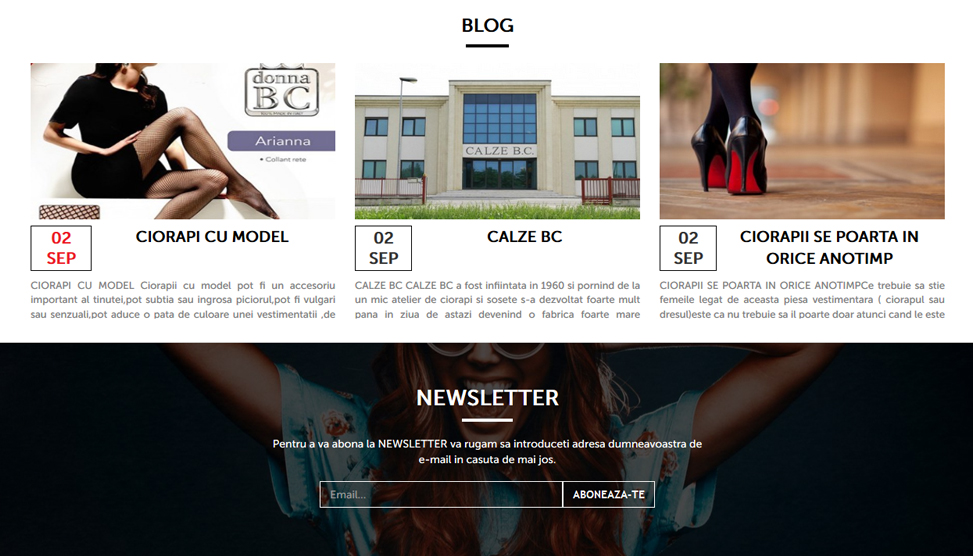 Website Preview