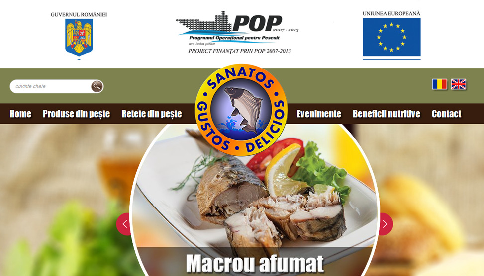 Website Preview