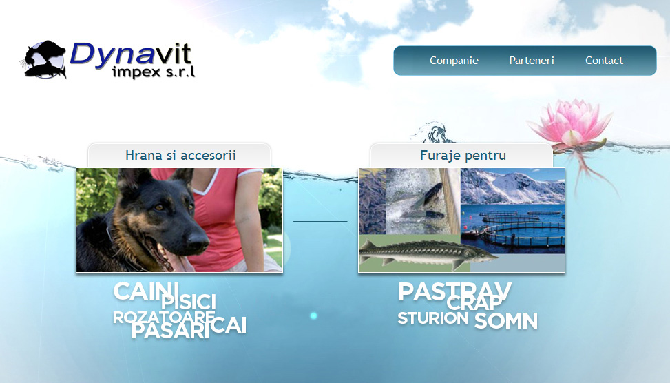 Website Preview