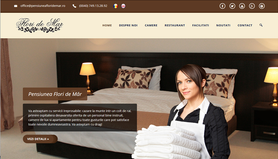 Website Preview