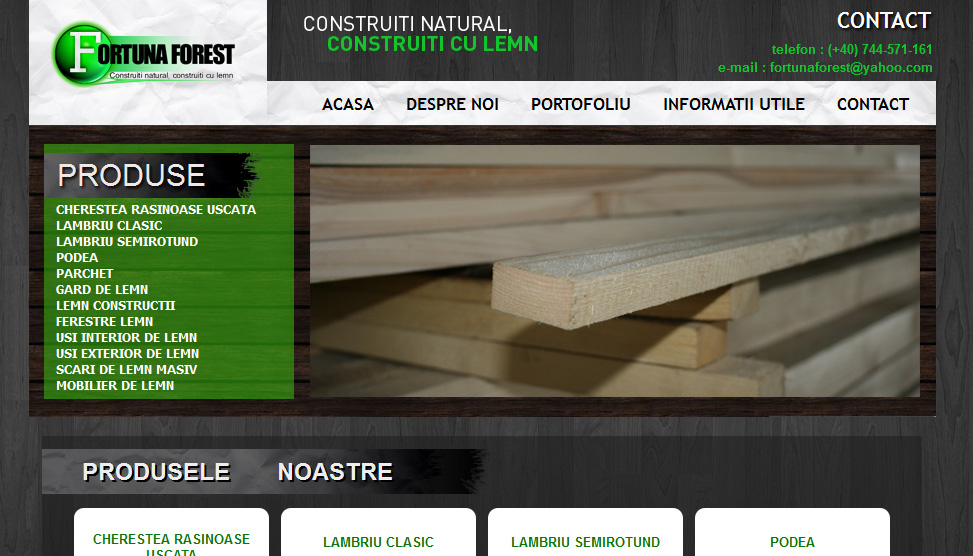 Website Preview