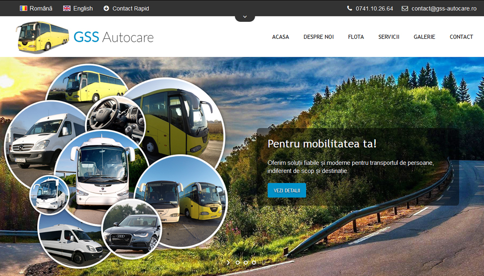 Website Preview