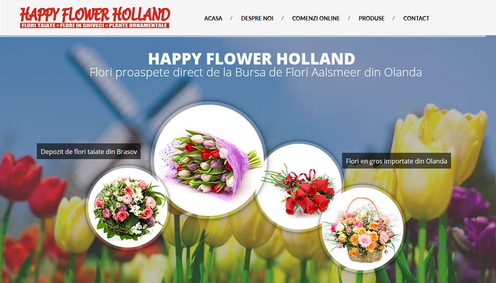 Website Preview