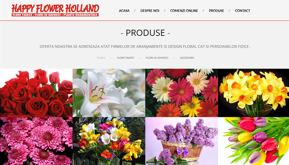 Website Preview