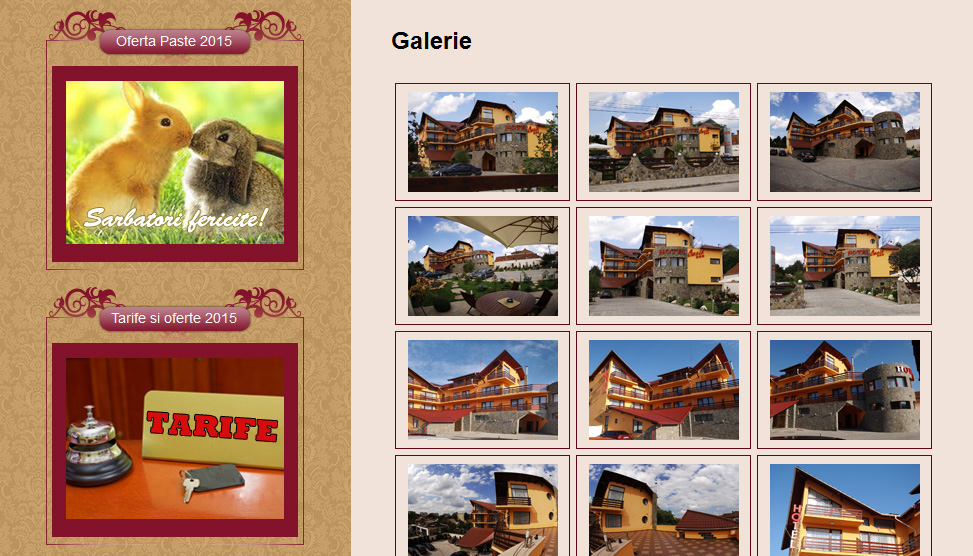 Website Preview