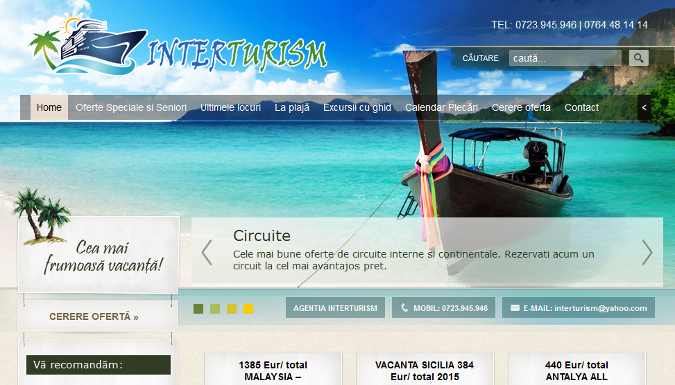 Website Preview
