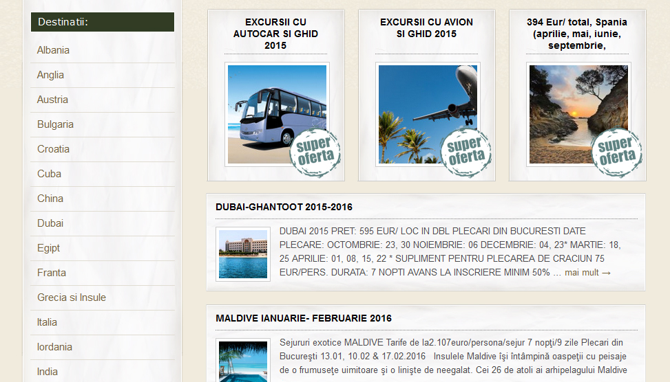 Website Preview