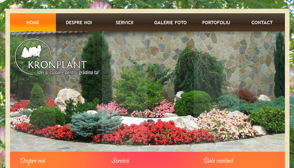 Website Preview