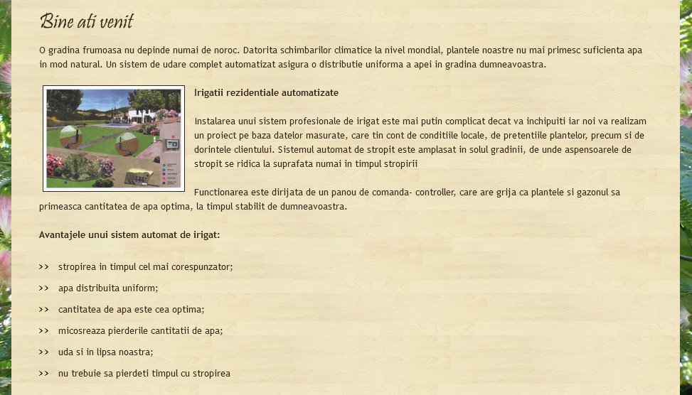 Website Preview
