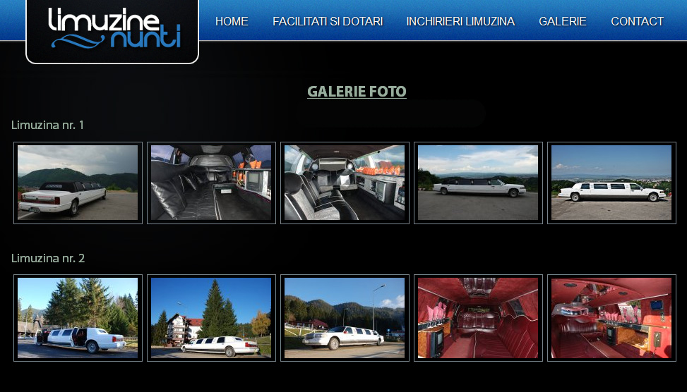 Website Preview