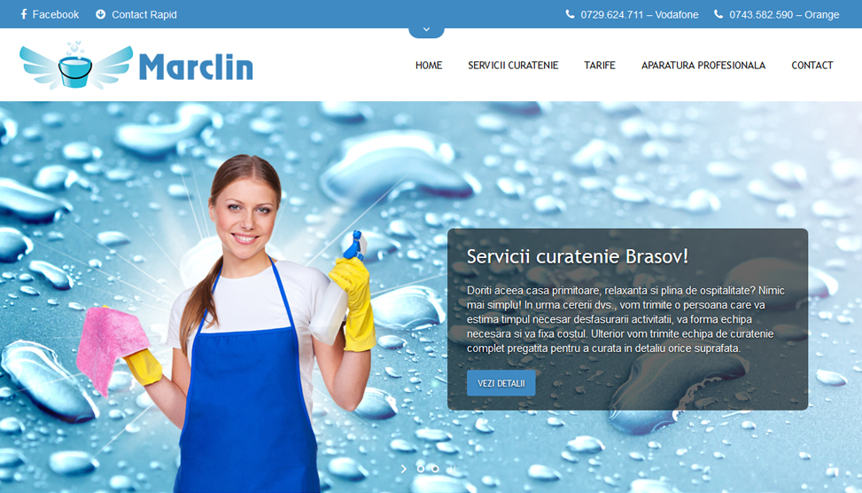 Website Preview