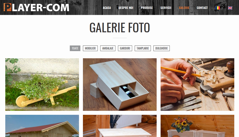 Website Preview