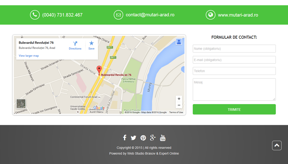 Website Preview