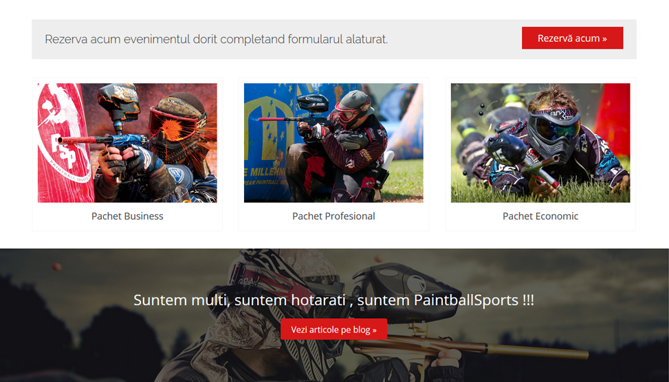 Website Preview