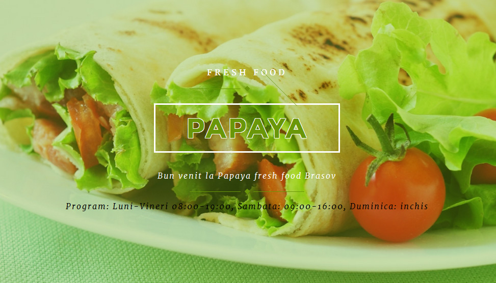 Website Preview