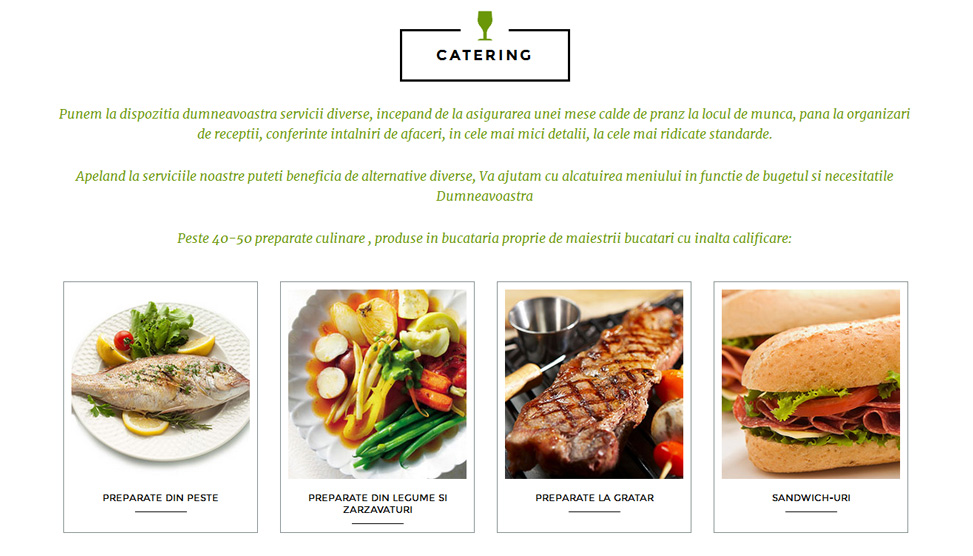 Website Preview