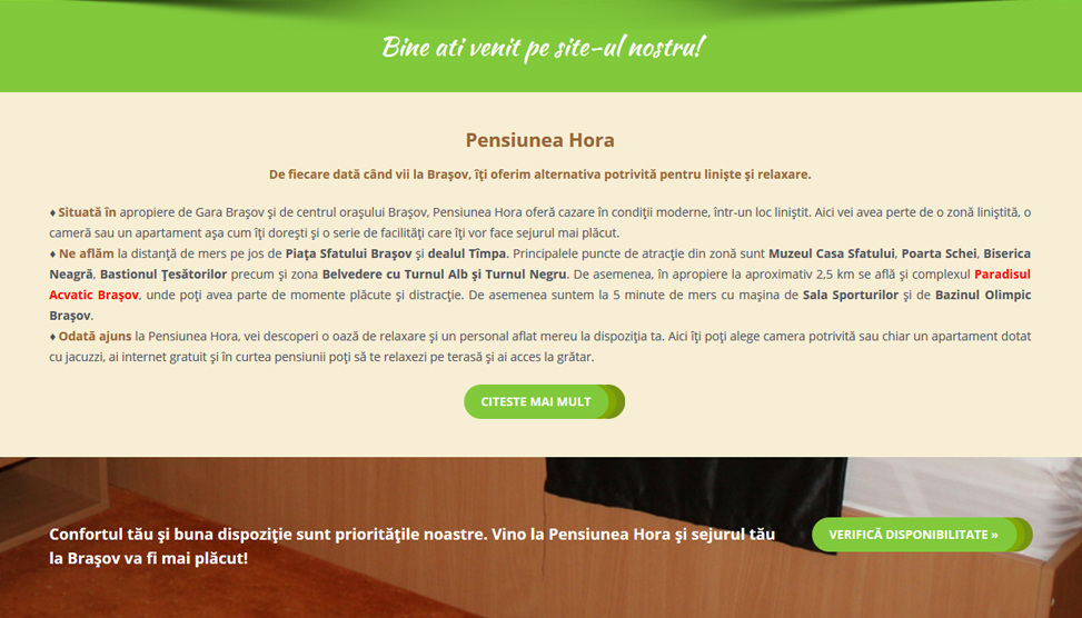 Website Preview