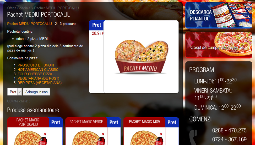 Website Preview
