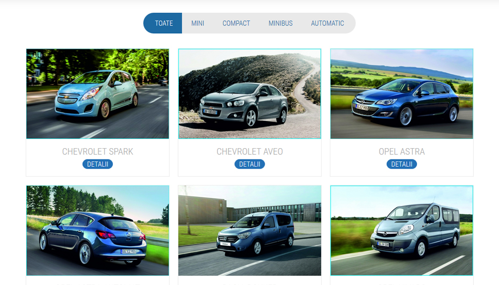 Website Preview