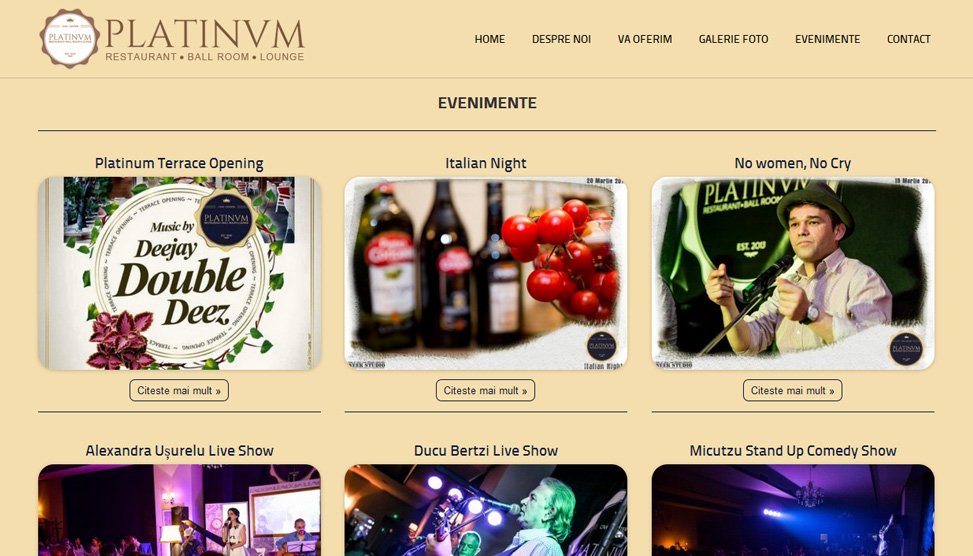 Website Preview