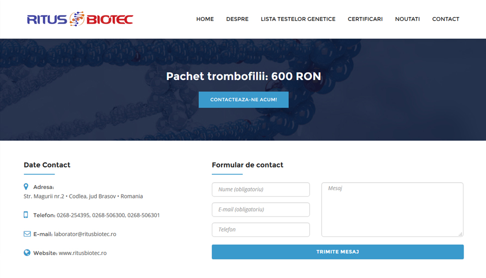 Website Preview