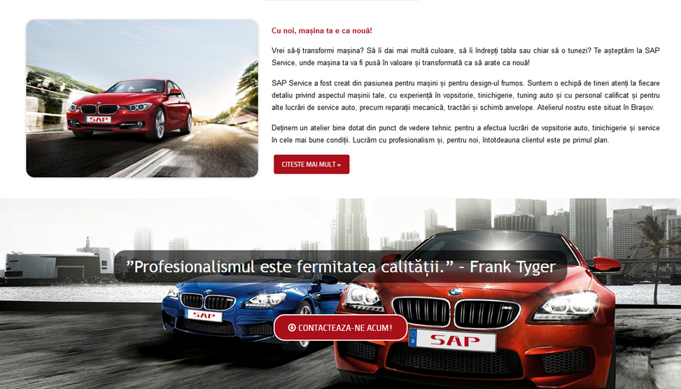 Website Preview