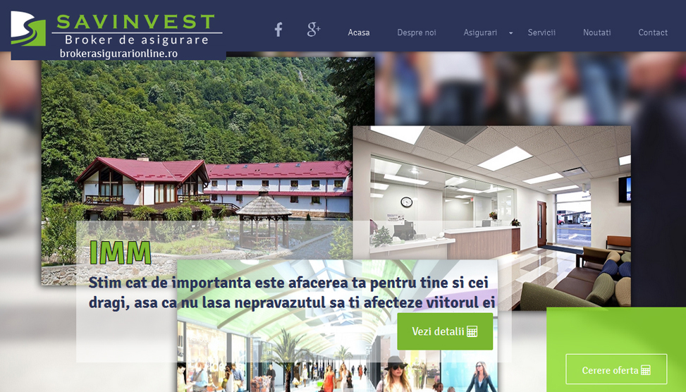 Website Preview