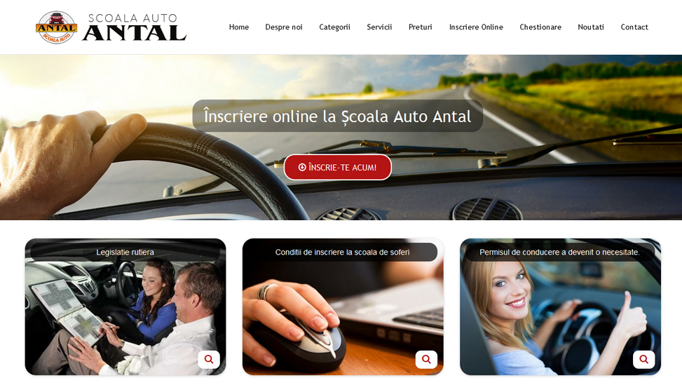 Website Preview