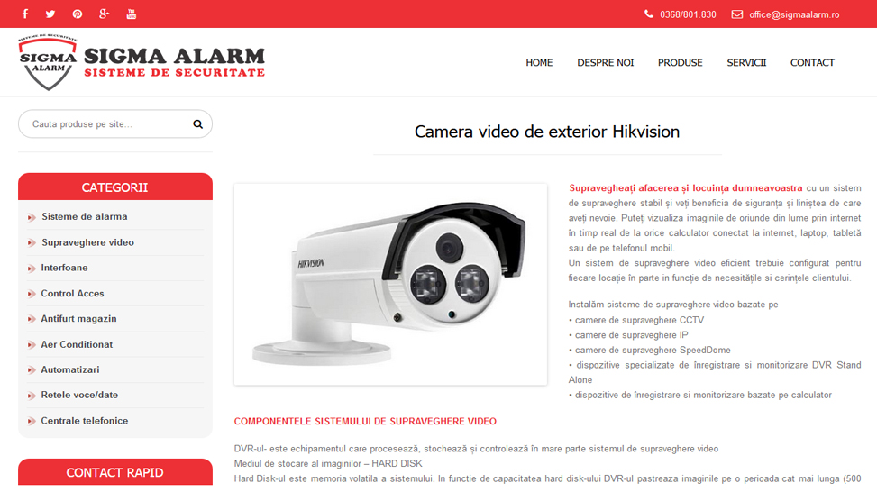 Website Preview