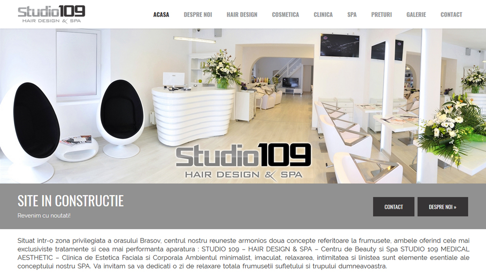Website Preview