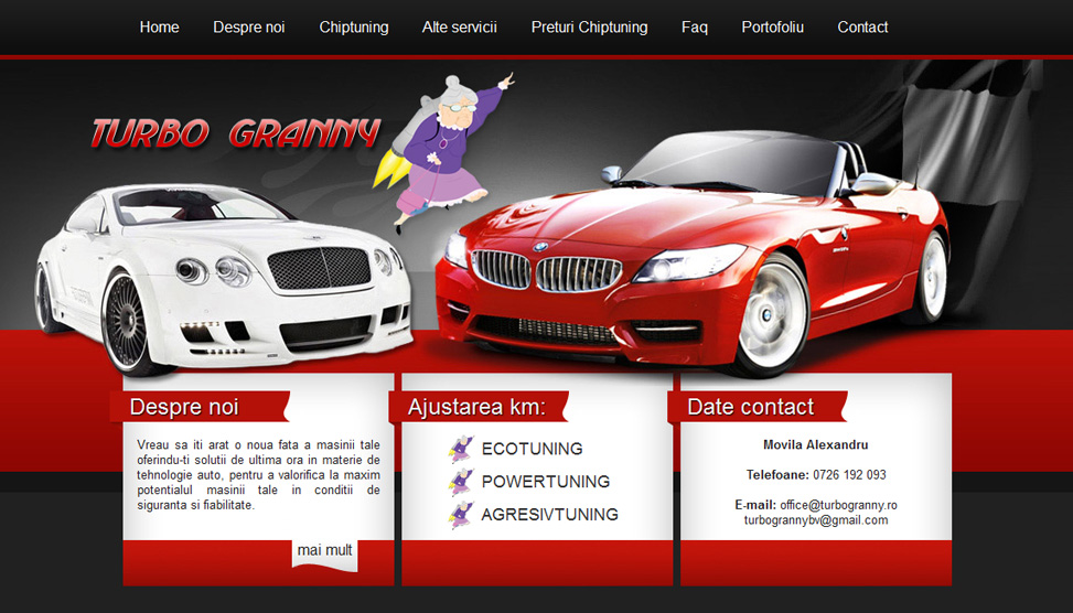Website Preview